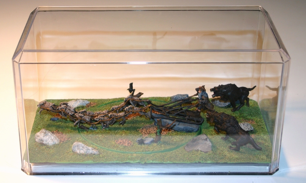 Radagast on Sleigh in Diorama Case