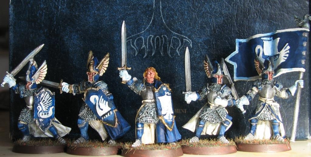 Knights of Dol Amroth