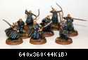 Wood Elf Warriors